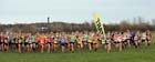 The start of the senior womens North Eastern Cross Country, Champs., Temple Park, South Shields. Photo: David T. Hewitson/Sports for All Pics
